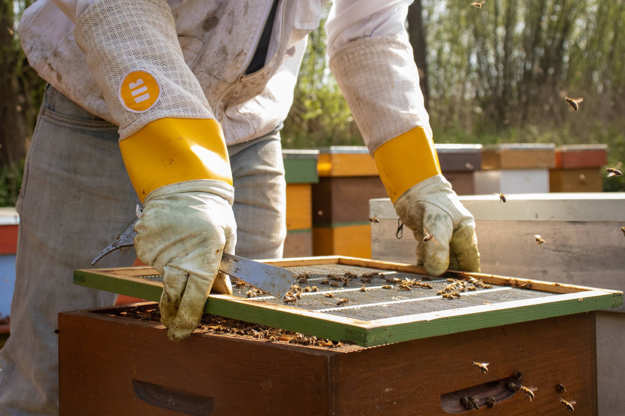 European Classics – vaste collectie-1