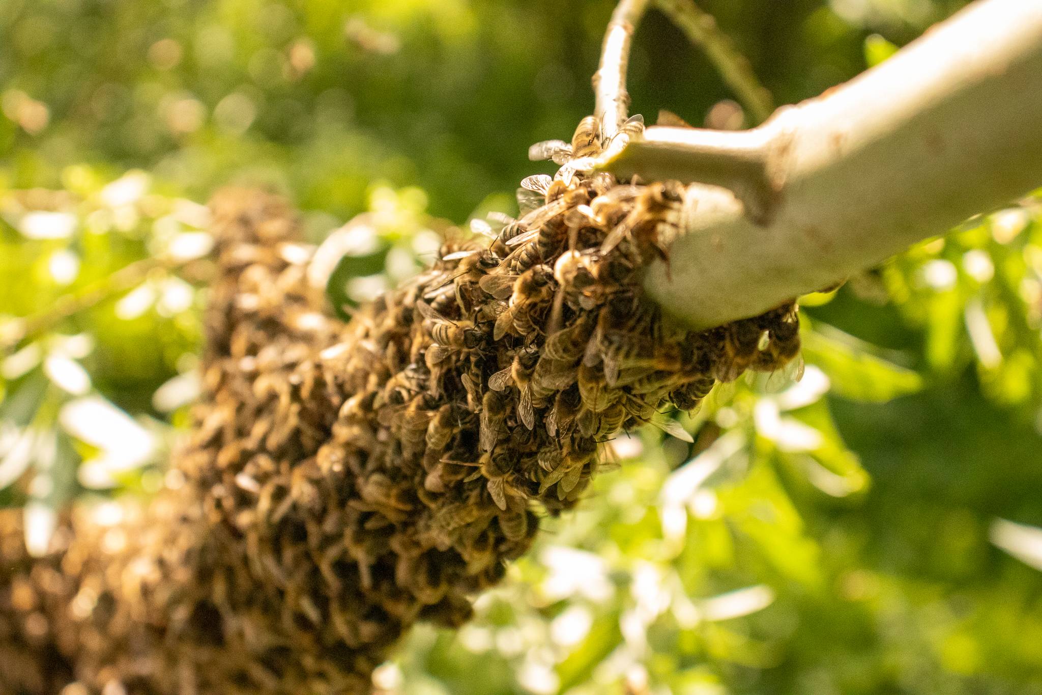 Voor bedrijven die impact willen maken-1