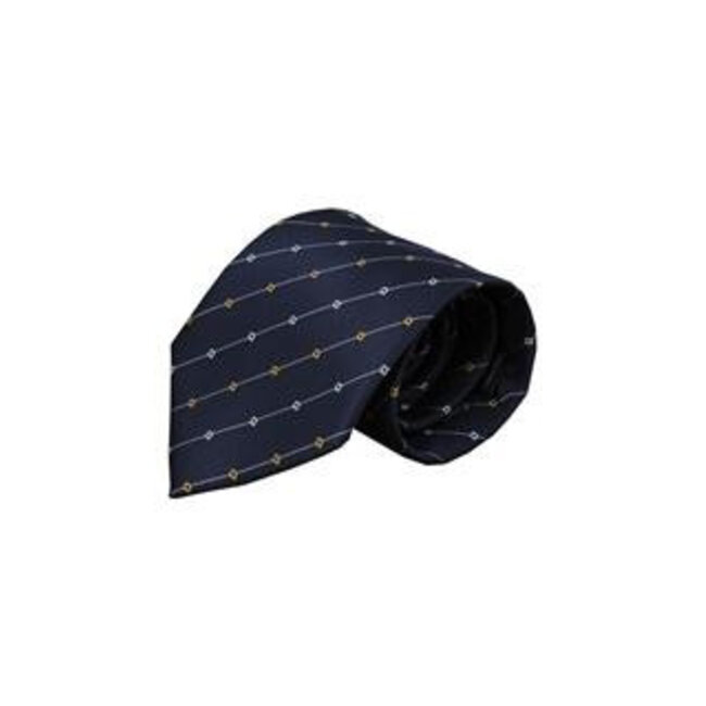 Vincelli Alberto Blue tie Iseo 01