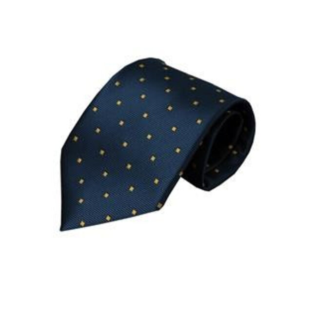 Vincelli Alberto Blue tie Lago 01