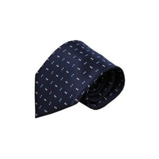 Vincelli Alberto Blue tie Madonna 01