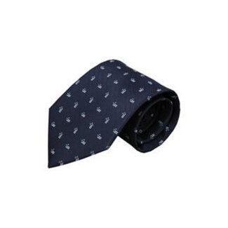 Vincelli Alberto Blue tie Padova 01