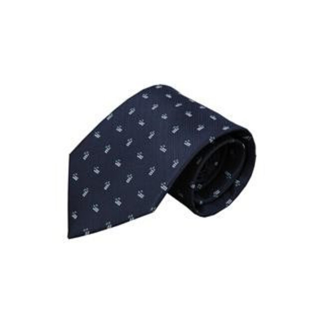 Vincelli Alberto Blue tie Padova 01