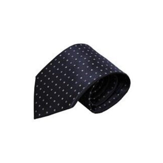 Vincelli Alberto Blue tie Zafferano 01