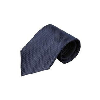 Vincelli Alberto Blue tie Adria 01