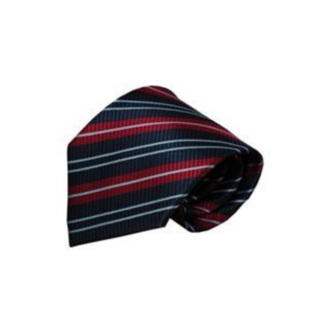Vincelli Alberto Blue tie Piacenza 01