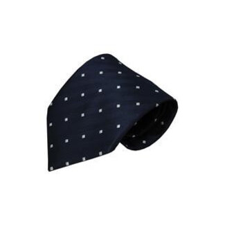 Vincelli Alberto Blue tie Sacile 01