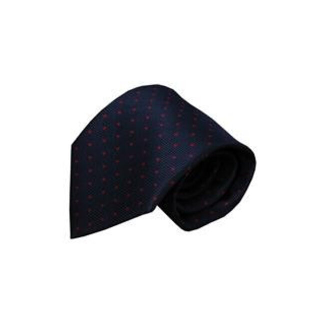 Vincelli Alberto Blue tie Vada 01