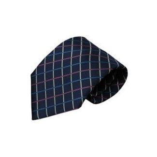Vincelli Alberto Blue tie Garda 01