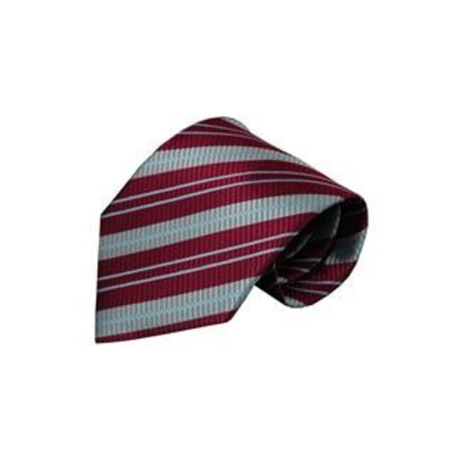 Vincelli Alberto Red tie Rimini 01