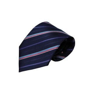 Vincelli Alberto Blue tie Eddo 01