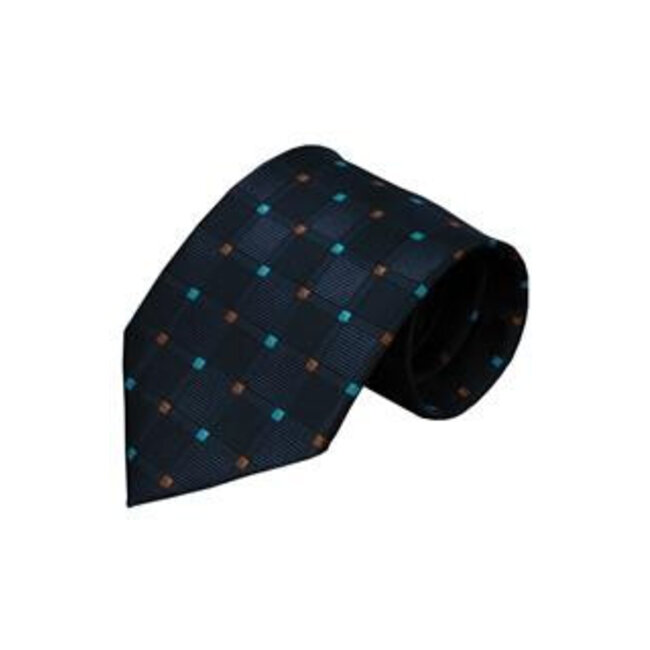 Vincelli Alberto Silk tie Asta 01