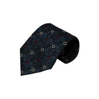 Vincelli Alberto Blue tie Brescia 01