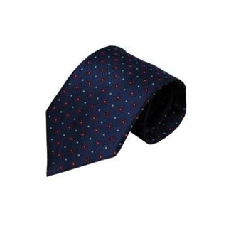 Vincelli Alberto Blue tie Udine 01