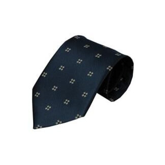 Vincelli Alberto Blue tie Gallo 01