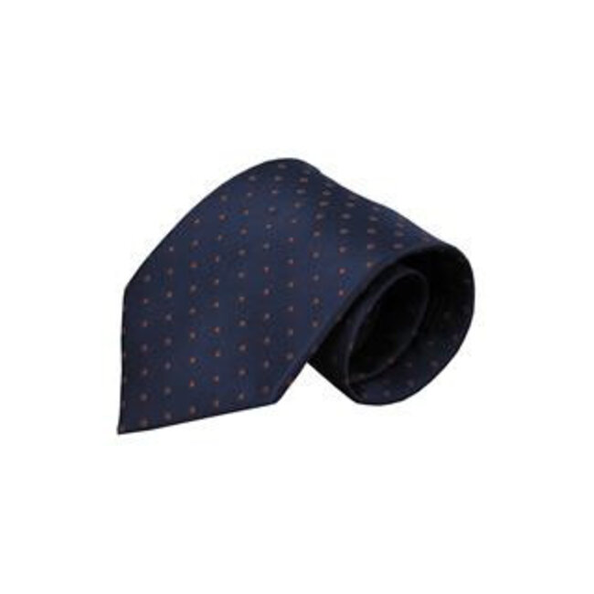 Vincelli Alberto Blue tie Asti 01