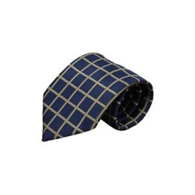 Vincelli Alberto Blue tie Modena 01