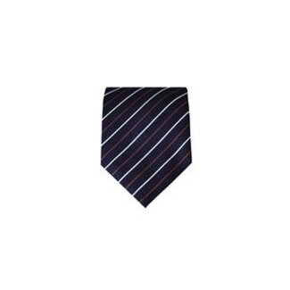 Massimo-Valeri Blue tie M15