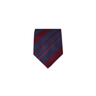 Massimo-Valeri Blue tie M25