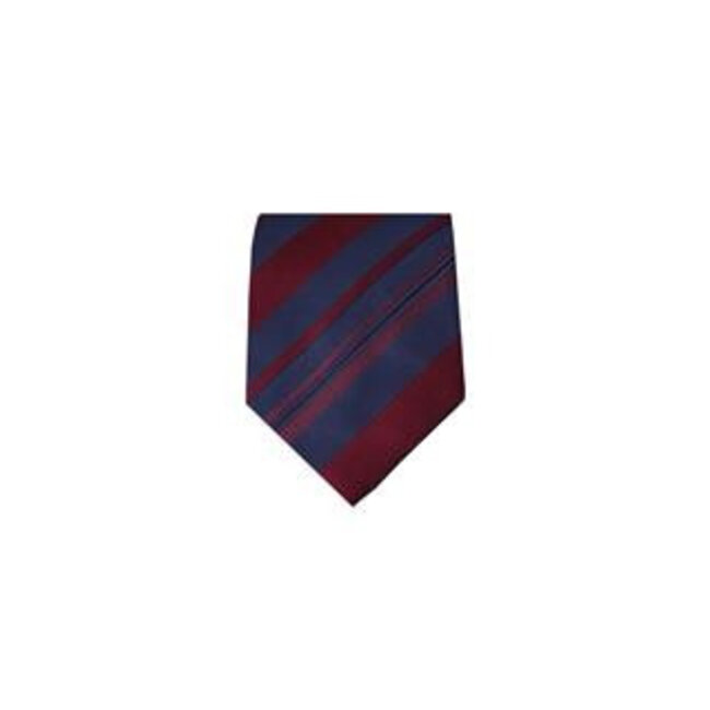 Massimo-Valeri Blue tie M25