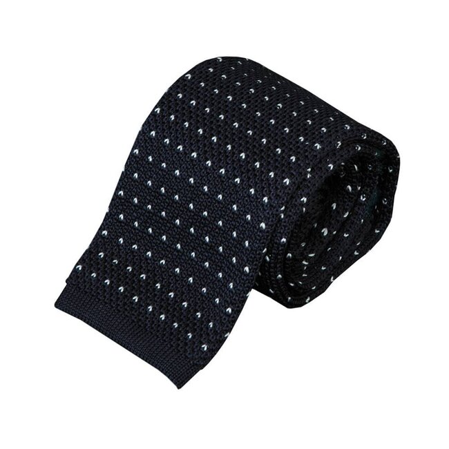 Paolo Albizzati Blue tie Paolo 29