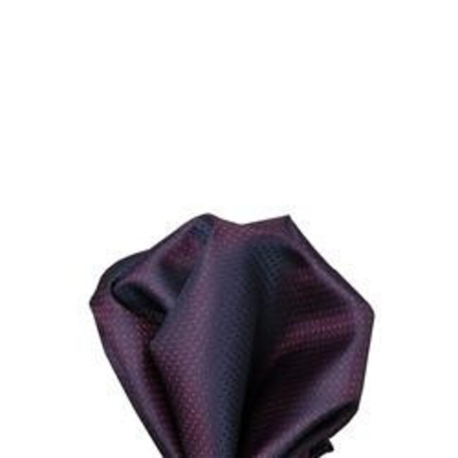 Volare Collection Silk handkerchief 17