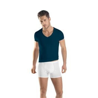 Hanro Herren·V-hals·t shirt·s/slv·Hanro·Micro Touch·73108