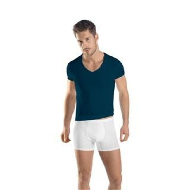 Hanro Mens·V-neck·t shirt·s/slv·Hanro·Micro Touch·blue
