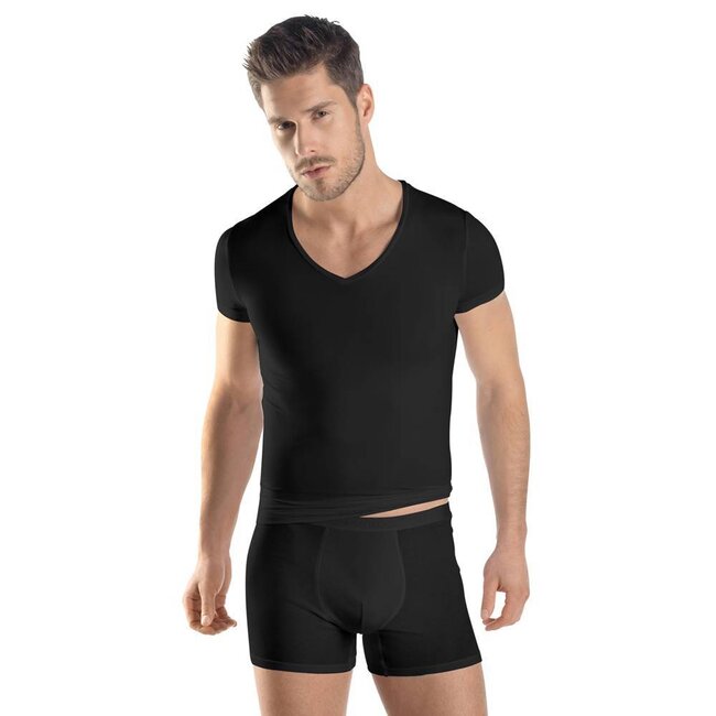 Hanro Heren·V-hals·t shirt·s/slv·Hanro·Micro Touch·blauw