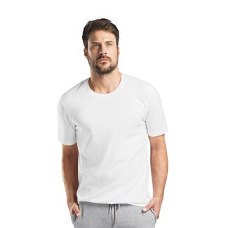 Hanro Herren·t shirt·r/n·s/slv·75050