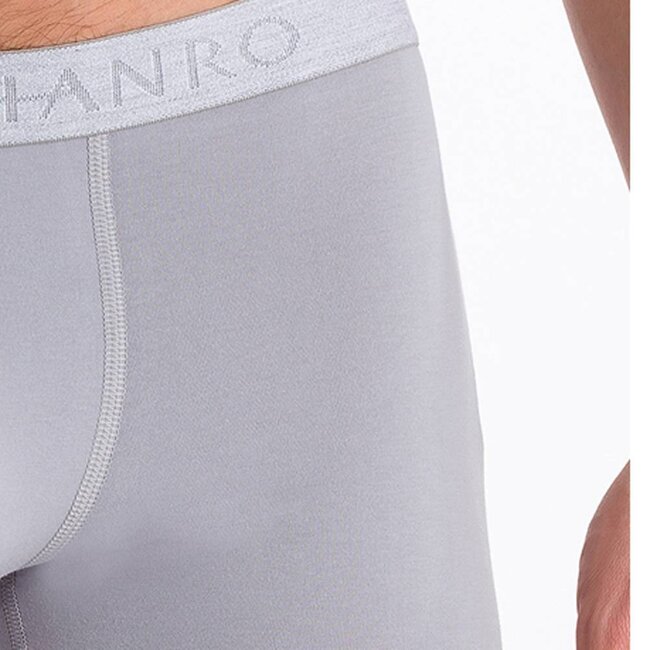 Hanro Herren Slips 2er Pack Cotton Essentials Grau