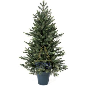 Royal Christmas Royal Christmas Künstlicher Weihnachtsbaum Mini im Topf 105 cm | inklusive LED-Beleuchtung über Netzstrom