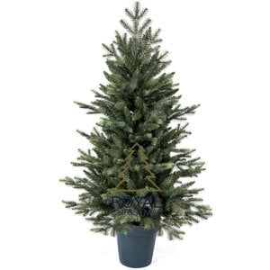 Royal Christmas Royal Christmas Kunstkerstboom Mini en pot 105 cm | Y compris l'éclairage LED via la puissance du secteur