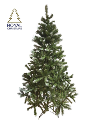 Royal Christmas Royal Christmas® Kunstkerstboom Dakota 210 cm | Licht besneeuwd