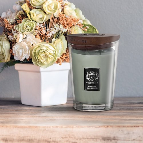 Vellutier Vellutier scented candle medium cannabis connoisseur - 12 cm / Ø 9 cm