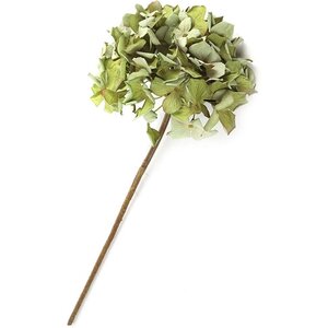 Countryfield Künstliche Hortensie Grün 60 cm - Dekorativer Zweig