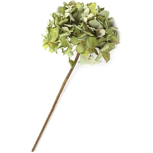 Countryfield Hortensia de plante artificielle Green 60 cm - branche décorative