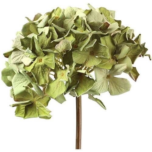 Countryfield Kunstplant Hydrangea Groen 60 cm - Decoratieve tak