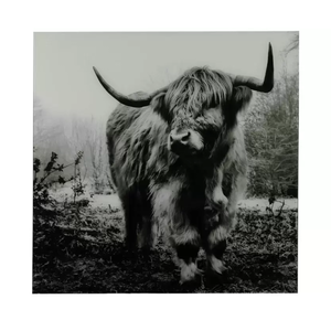 Non Branded Peinture Bull Wild Life L - noir / blanc