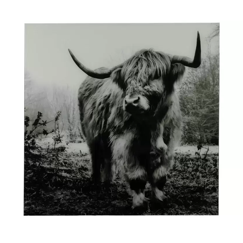 Non Branded Painting Bull Wild Life L - Black/White