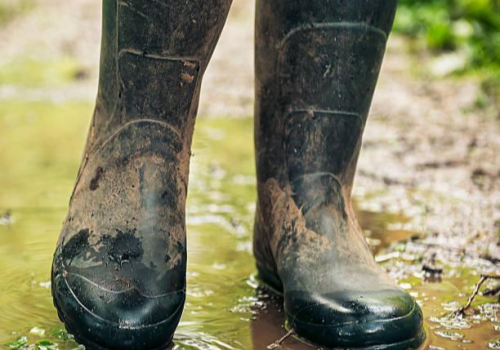 Bottes en caoutchouc