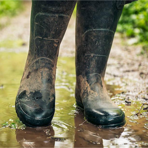 Gummistiefel