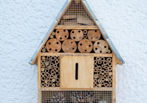 Decoración de jardín