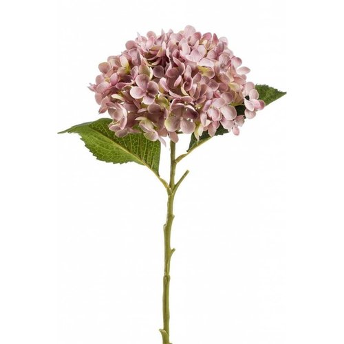 Countryfield Decoratieve tak Hydrangea Roze - 64 cm