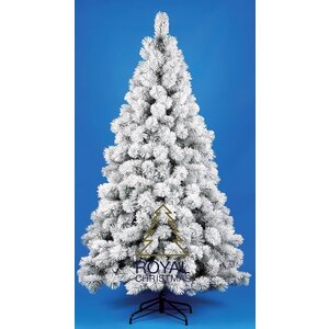 Royal Christmas Albero di Natale artificiale Royal Christmas Chicago - 210 cm con neve Royal Christmas Albero di Natale artificiale Royal Christmas Chicago - 210 cm con neve
