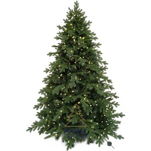 Royal Christmas Künstlicher Weihnachtsbaum Spitzbergen 270 cm mit LED + Smart Adapter