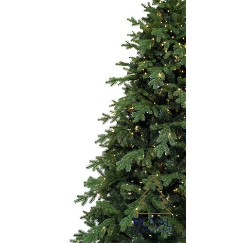 Royal Christmas Kunstkerstboom Spitsbergen 180 cm avec LED + adaptateur intelligent