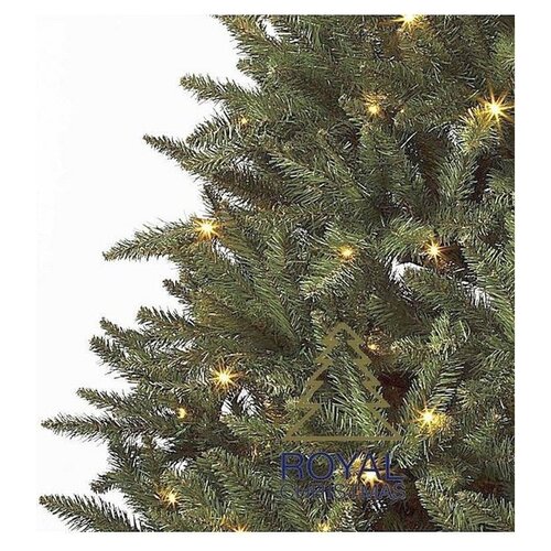 Royal Christmas Arbre de Noël artificiel Royal Christmas® Washington 180 cm avec éclairage LED