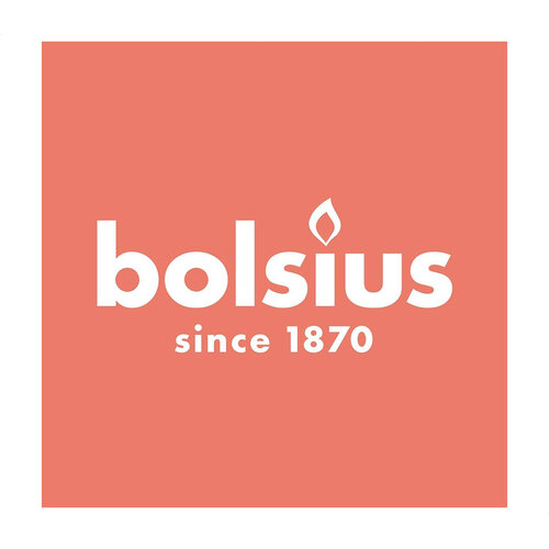 Bolsius Bolsius Stub candle Cloudy White Ø68 mm - Height 19 cm - White - 85 burning hours