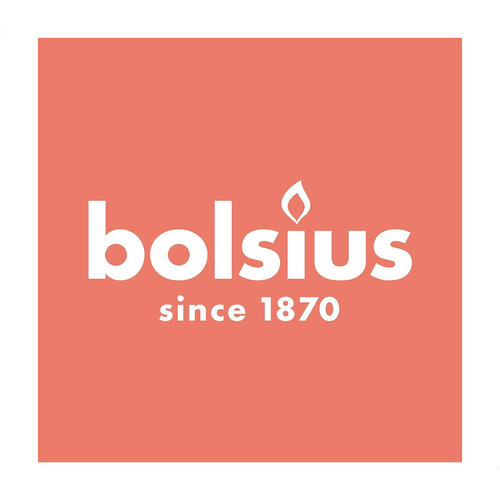 Bolsius Bolsius Rustic Stub Candle 190/68 Bleu